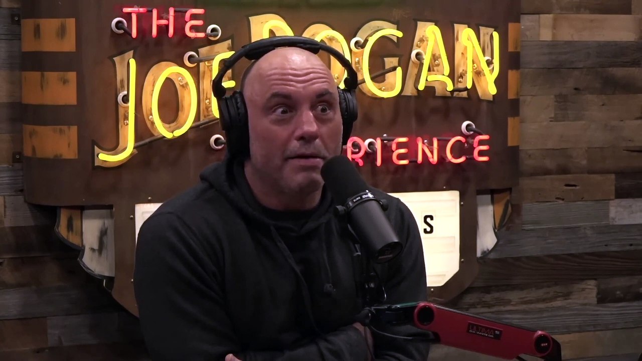 Joe & Theo: What Would Joe Rogan Do During the APOCALYPSE?!