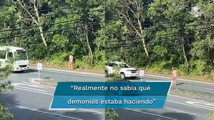 Hombre detiene el tráfico para ayudar a un koala a cruzar una carretera