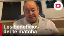 Los beneficios del té matcha con el Dr. Abascal