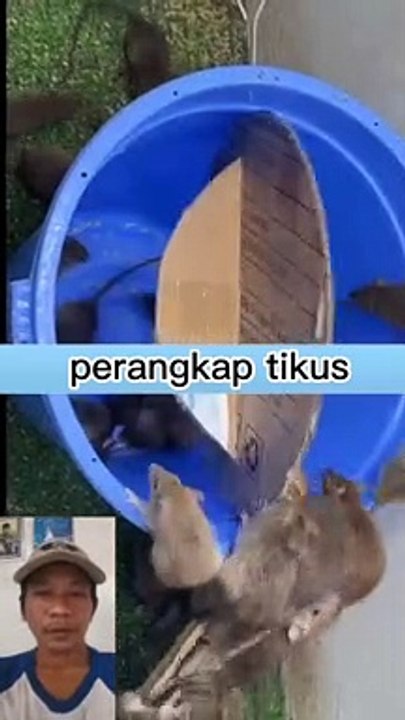 Jebakan tikus