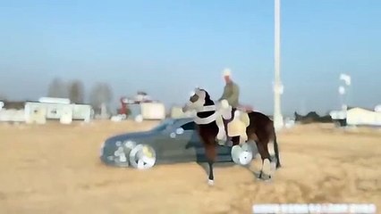 Horse racing |racing