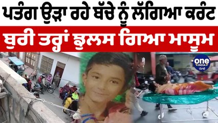 ਪਤੰਗ ਉਡਾ ਰਹੇ ਨੂੰ ਬਿਜਲੀ ਦੀਆਂ ਤਾਰਾਂ 'ਚ ਫਸੀ ਪਤੰਗ ਕਾਰਨ ਲੱਗਾ ਝੱਟਕਾ | OneIndia Punjabi