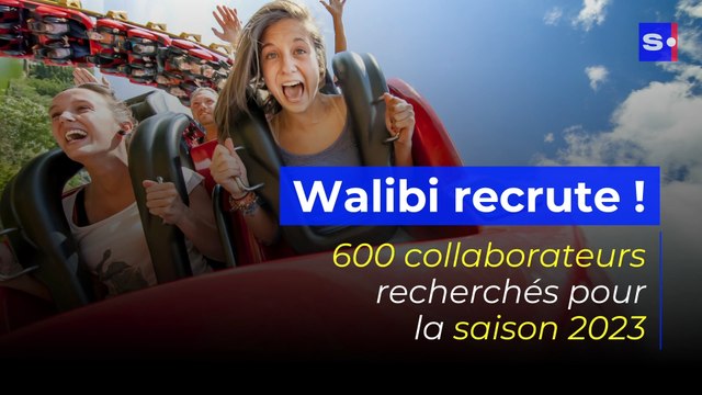 Walibi à la recherche de 600 saisonniers et étudiants pour 2023
