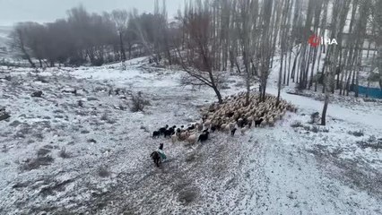 Sivas'ta köy odası geleneği 'Bir Dem Bin Kelam' sohbetleriyle yaşatılıyor