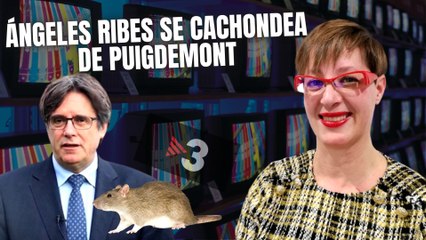 Ángeles Ribes se cachondea de TV3 que ha sugerido que Puigdemont puede ser una "rata"