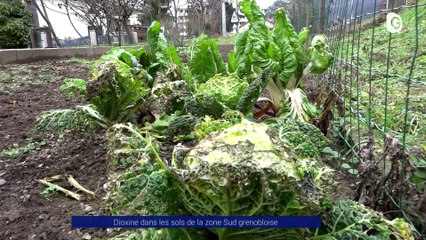 Reportage - Dioxine dans les sols de la zone Sud grenobloise