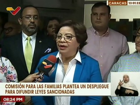 Comisión de Familia de la AN plantea despliegue nacional para difundir leyes sancionadas