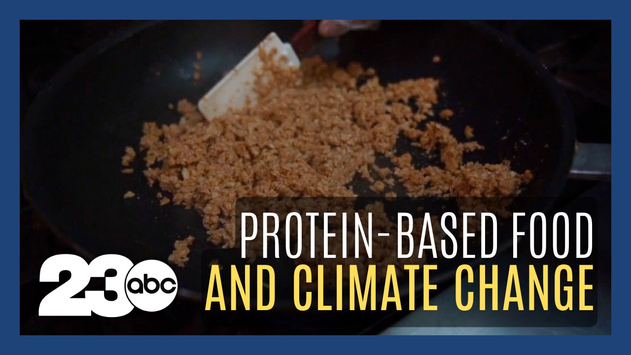 Weather impact on proteins & healthy diets