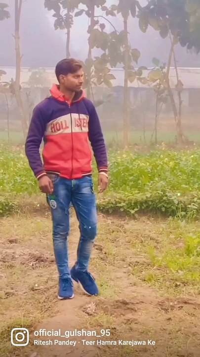 Teer Hamra karejwa ke par ho gail