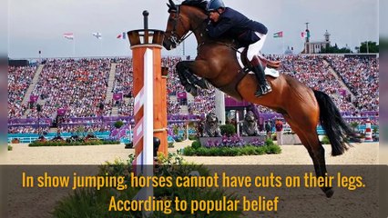 20 Weirdest Rules in Sports