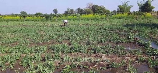 जागरूकता के अभाव में नई तकनीक से दूरी