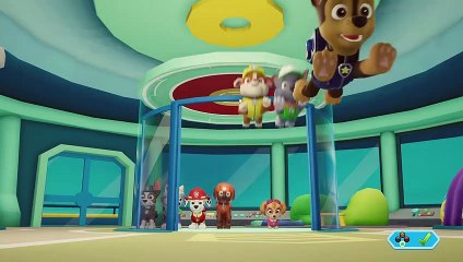 Paw Patrol: On A Roll | Part 11 | "Find Mr. Porter's Flower" | Gameplay No Commentary