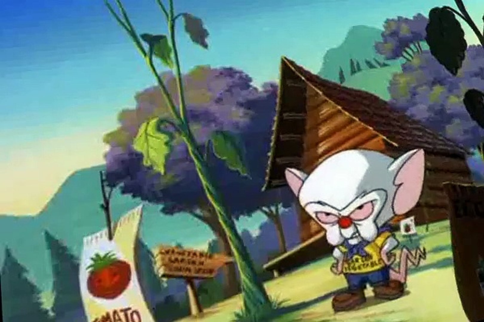 Pinky and the Brain Pinky and the Brain S03 E033 Bah, Wilderness - video  Dailymotion
