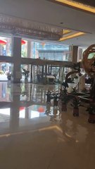 Disgruntled guest smashes car through Chinese hotel lobby