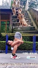 Extreme Fights Between Wild Animals 33