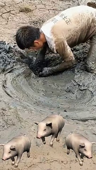 Extreme Fights Between Wild Animals 69