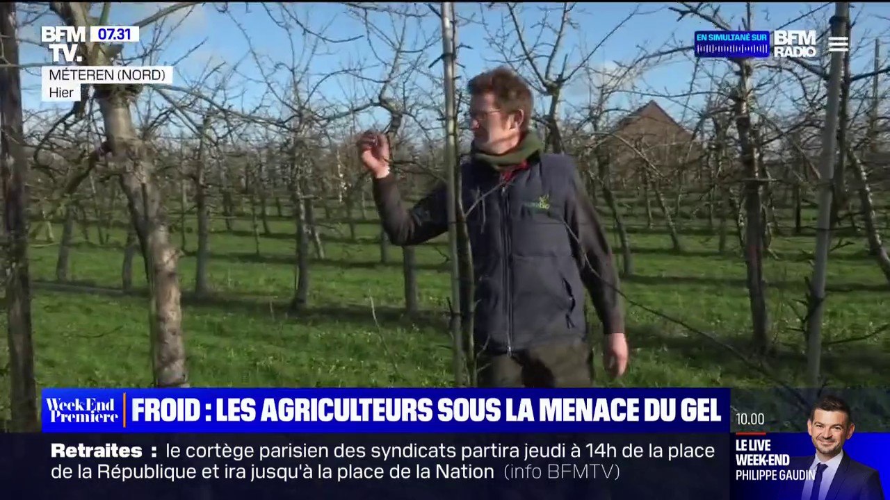Ces exploitants agricoles redoutent le retour du froid alors que certains arbres fruitiers bourgeonnent déjà