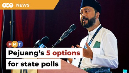 Mukhriz lists Pejuang’s 5 options for state polls, including opting out