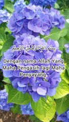Surah alfatiha #alfatiha merdu #alfatiha anak # surah alfatiha dan artiya # belajar mengaji @sutan rasyid chenel.