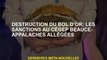 Destruction du bol doré: sanctions à Cégep Beauce-Appalaches éclaircies