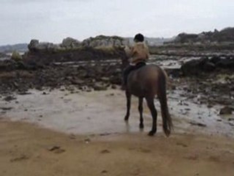 quinou sur la plage