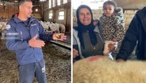 Türkiye'nin en büyük koyunu! Metreyi alıp boyunu ölçtü, gördüğü rakama kendisi bile inanamadı