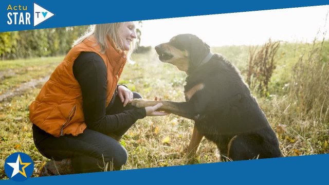 L'amour est dans le pré 2019 : 1res images du tournage, les agriculteurs réunis