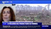 Pascale Hebel, spécialiste de la consommation, sur la colère des producteurs de pommes: 