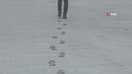 Kurak geçen kış mevsimde kar sevinci