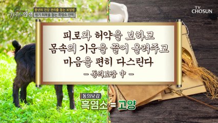 ‘흑염소 진액’ 췌장암을 극복하고 건강을 유지하는 노하우! TV CHOSUN 20230114 방송