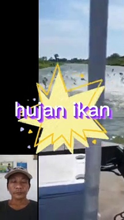 Hujan ikan