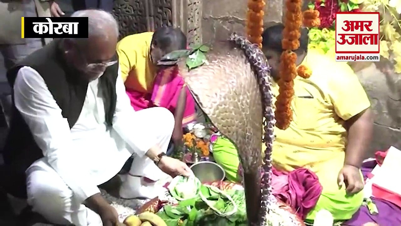 संक्रांति पर CM Bhupesh ने की पतंगबाजी, शिवलिंग पर टेका माथा, जनता के लिए की कई सौगातों की घोषणा