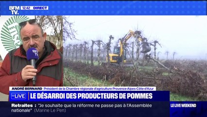 Download Video: André Bernard, de la Chambre d'agriculture de la région PACA, sur le désarroi des producteurs de pommes: 