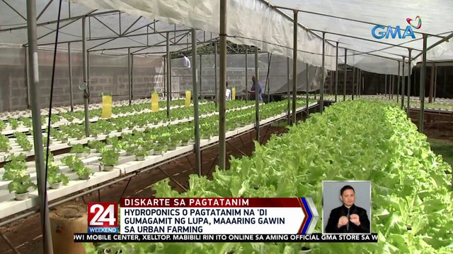 Hydroponics o pagtatanim na 'di gumagamit ng lupa, maaaring gawin sa urban farming | 24 Oras Weekend