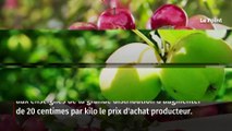 Inflation : les producteurs de fruits saccagent leurs vergers