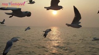 आकाशी झेप घे रे पाखरा | Aakashi Zep Ghe Re Pakhara With Lyrics
