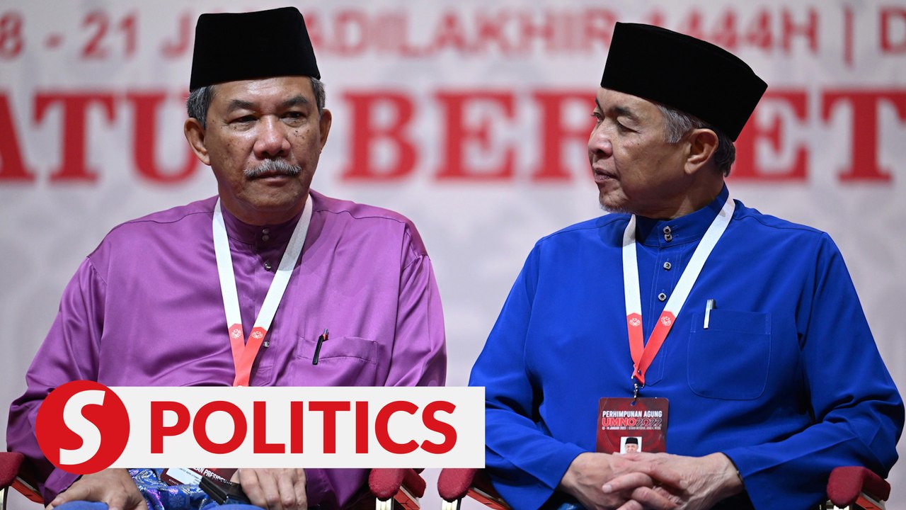 Tok Mat says he was surprised Rembau division proposed no-contest motion