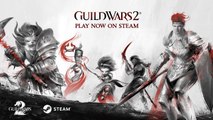 Guild Wars 2 - Tráiler Steam