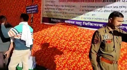 आमरण अनशन कर रहे वेटरनरी डॉक्टर्स की तबीयत बिगड़ी, एसएमएस अस्पताल किया रेफर