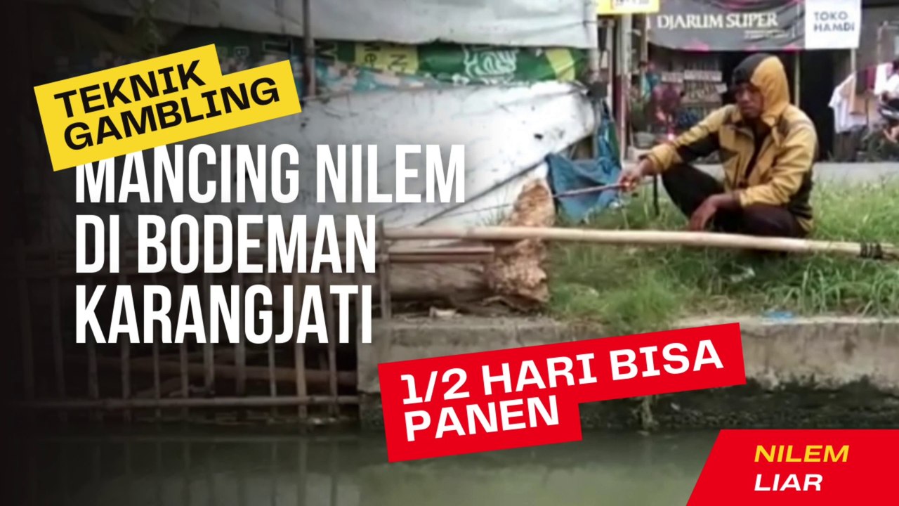 Teknik Gambling Mancing Nilem di Bodeman Karangjati