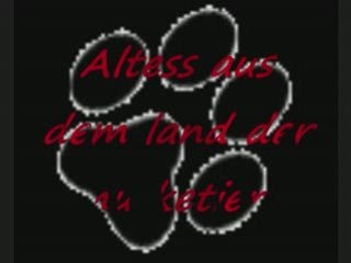 rottweiler altess aus dem land der musketiere