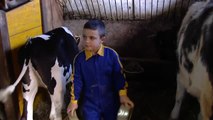El niño que sólo piensa en ser ganadero y, con 6 años, ya 'trabaja' en su granja