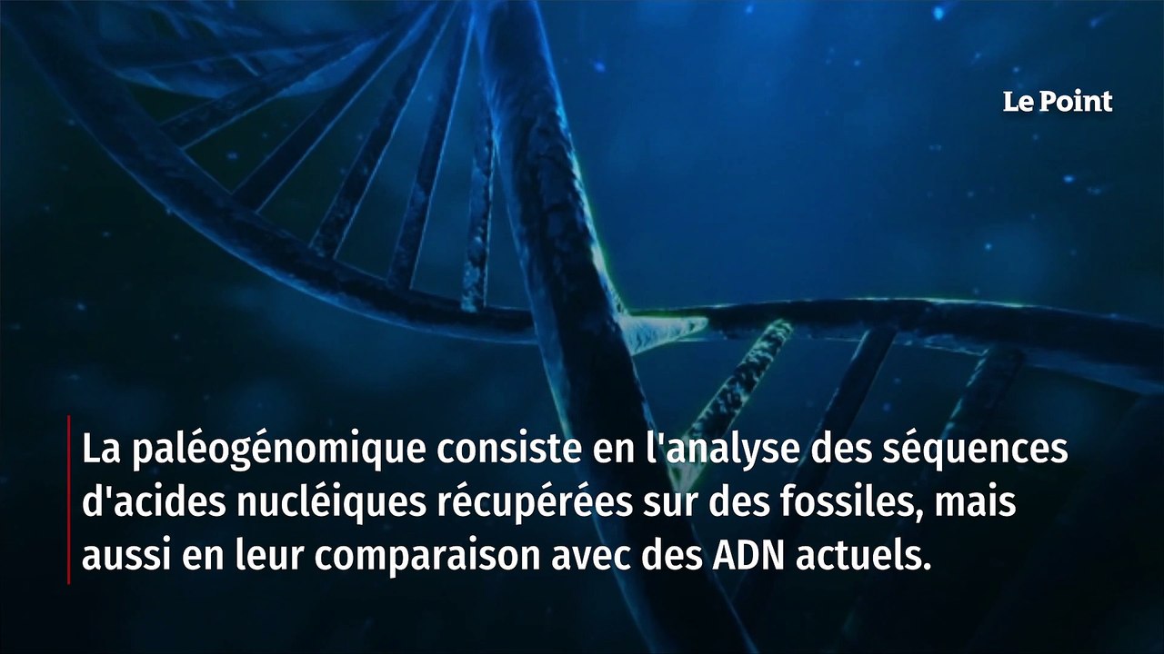 Ce que la génétique nous dit de l’état de santé des hommes préhistoriques