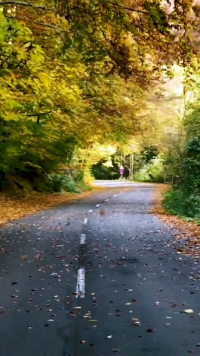 Autumn Season