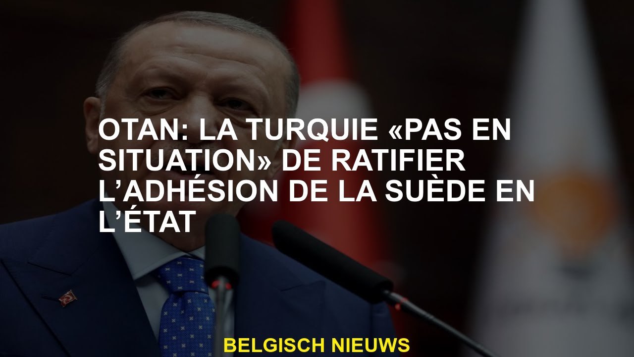 OTAN: La Turquie "pas dans une situation" pour ratifier le soutien de la Suède telle qu'elle est