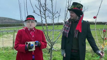 What Is Wassailing? 🍎