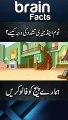 Facts about Tom and Jerry Cartoons_ #shorts _ Hindi Urdu _ Urdu/Hindi