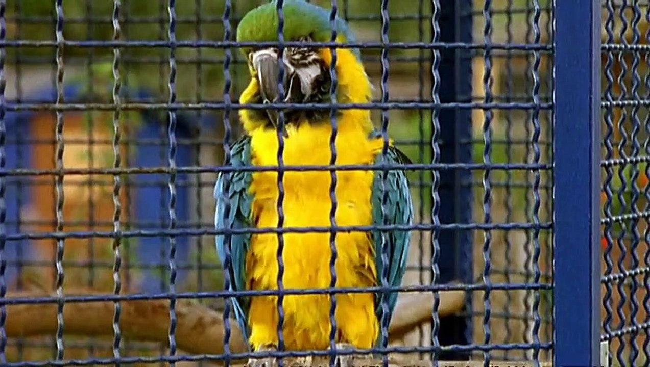 Unser Charly Staffel 13 Folge 12