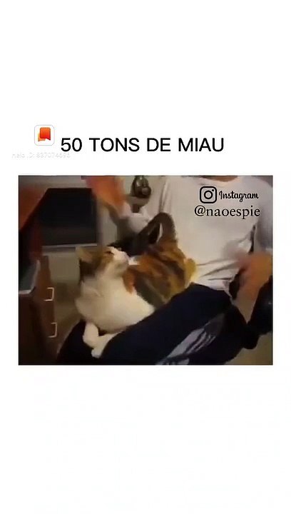 Status #741