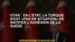 OTAN: Dans l'état actuel des choses, la Turquie n'est "pas dans une situation" pour ratifier le sout